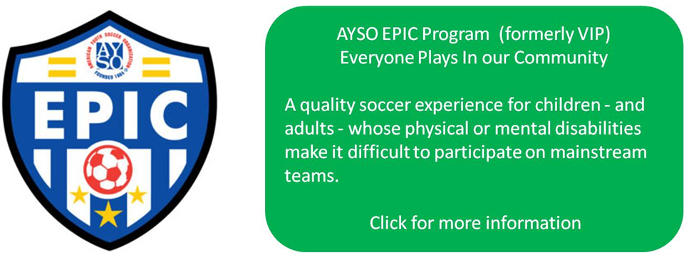 VIP Program
