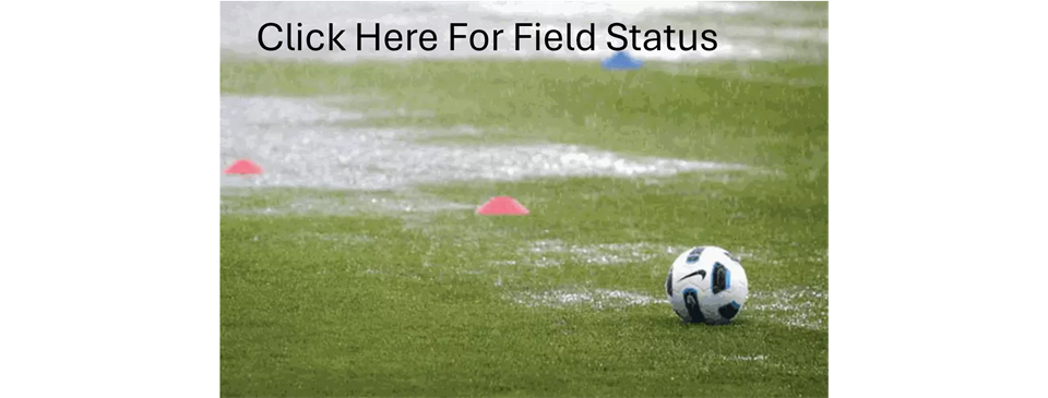 Field Status